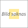 Biskrdare