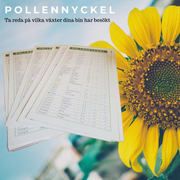 Pollennyckel i gruppen Biodling / Pollen hos LP:S Biodling AB (102100)