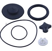 Reservedelssats Dana api matic 1000 Komplett med alla packningarna i gruppen Skrd / Tappning / Tappmaskiner hos LP:S Biodling AB (110074B)