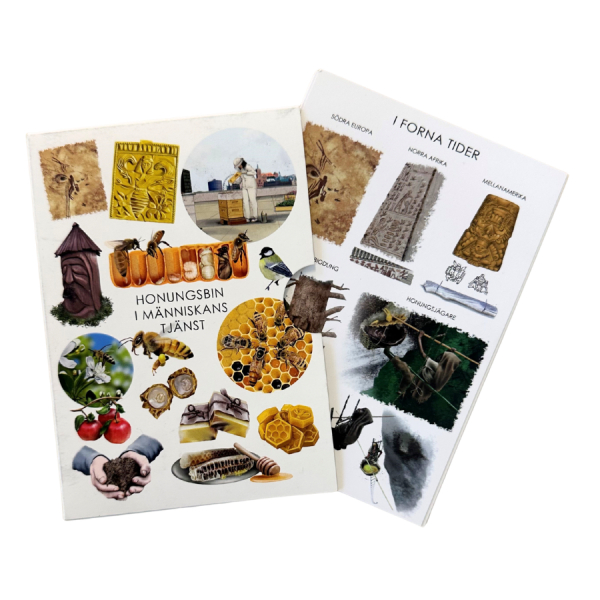 Informations kort biodling 20 st informations kort lamminerade i gruppen B�cker hos LP:S Biodling AB (116051LP)