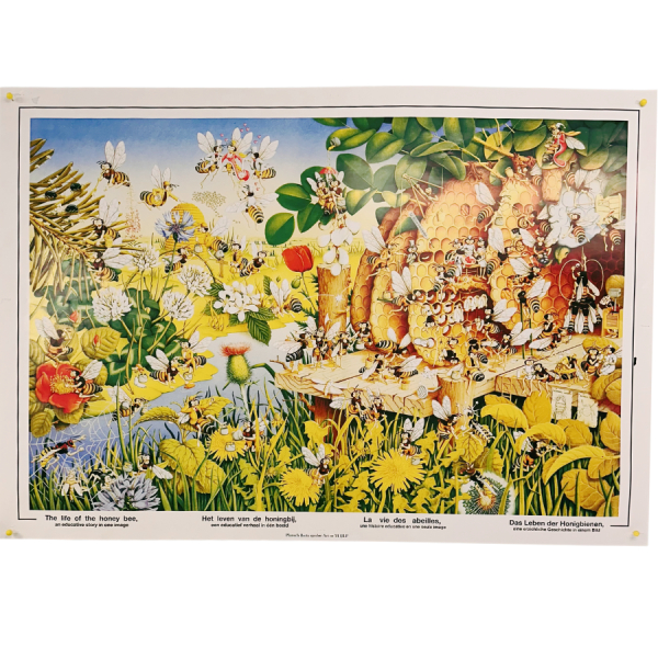 Plansch Biets sysslor i gruppen �vrigt / Plancher hos LP:S Biodling AB (211JLP)