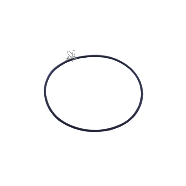 O-ring 82x2 til pumphuset Dana Api Matic1000 i gruppen Skrd / Tappning / Tappmaskiner hos LP:S Biodling AB (508082)