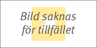 Slang till ngvaxsmltare 104420 104419 i gruppen Biodling / Vaxhantering / Reservdelar hos LP:S Biodling AB (104421A)