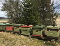 Bisamhlle vervintrat 2024 rs drottning SLUTSLD FR 2025 se 114009LP