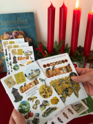 Informations kort biodling 20 st informations kort lamminerade