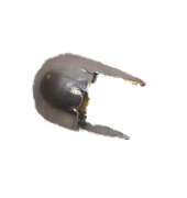 Avstndsstift 2-ben, ca 1000 st.