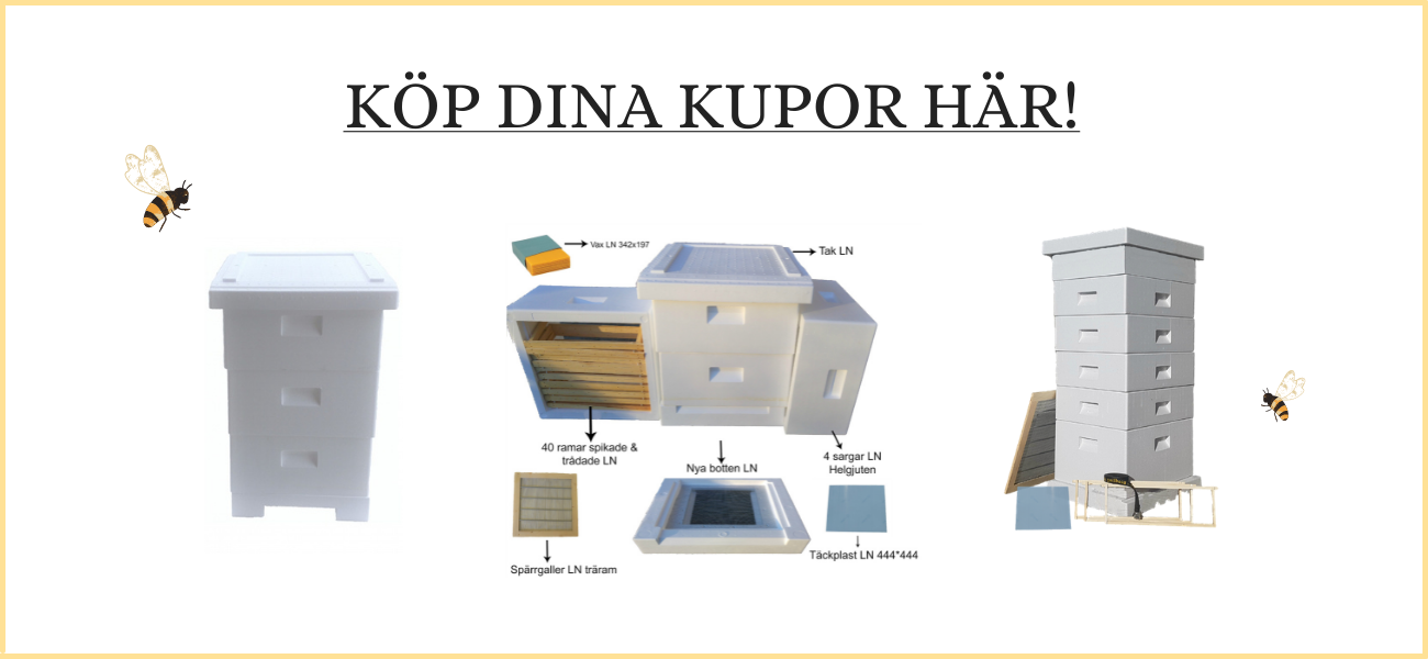 Klicka p� bilden f�r att navigera till v�ra kuppaket