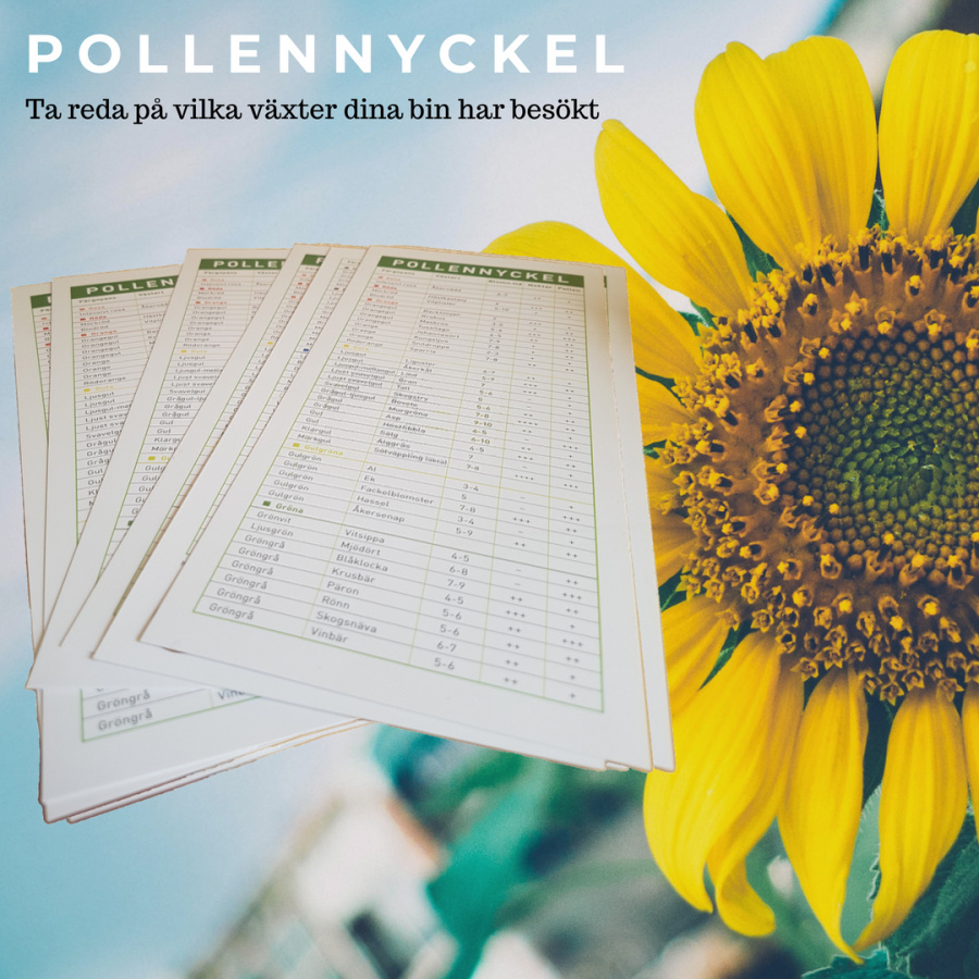 Pollennyckel