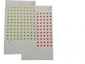 Nummerplatta bl� sj�lvlysande