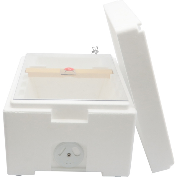 Kieler parningskupa utan lister