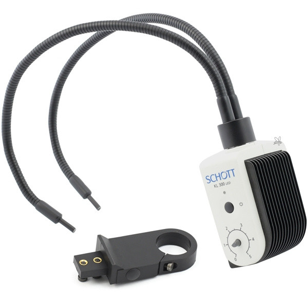 Kalljuslampa m. 2 ljusledare