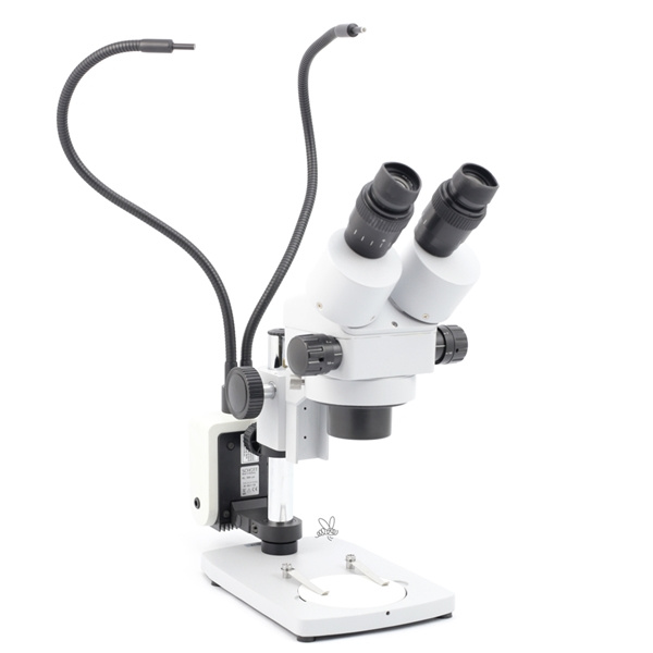 Kalljuslampa m. 2 ljusledare