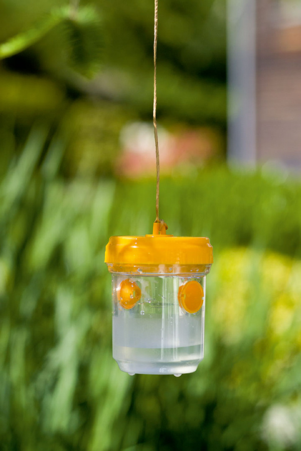 Getingf�lla 2-pack