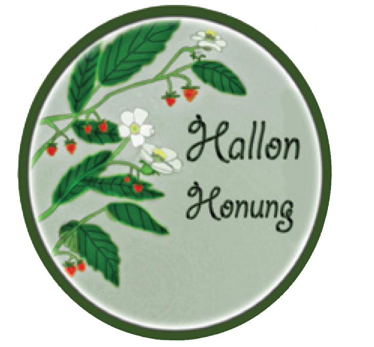 Locketikett hallonhonung 100 st