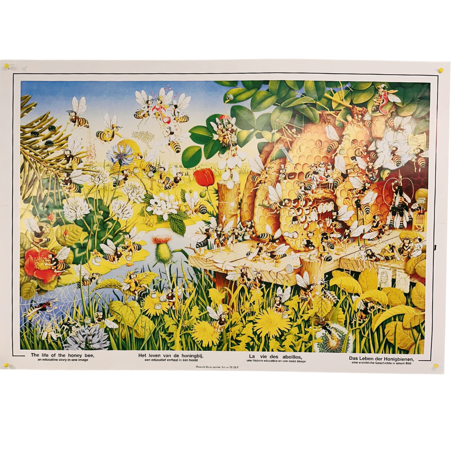 Plansch Biets sysslor