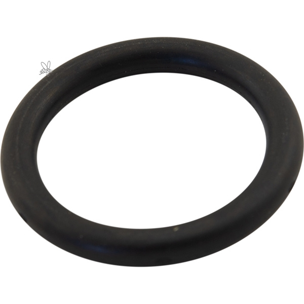 Packning BS 1,5 Till in/utlopp Dana api Matic